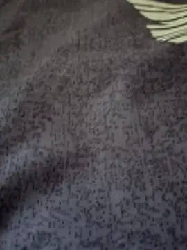 bigtelugubhama online show from 25, 2, 2026