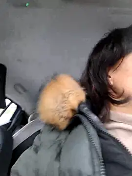 Piediniecollant online show from 16, 12, 2025