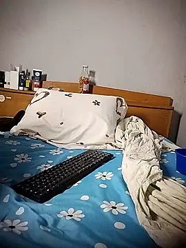 BD 228 online show from 6, 3, 2026