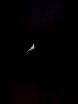 Snapshot of Cubanno chatting on 1, 11, 2025 Cubanno online show from 1, 11, 2025