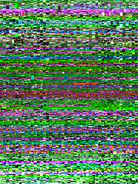 Shelas room official online show from 2, 11, 2025