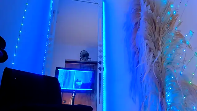 wild best online show from 8, 11, 2025