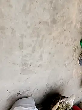 Laal Parilove online show from 21, 11, 2025