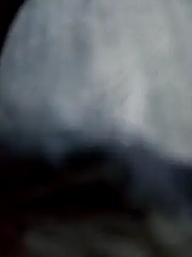 Snapshot of negro2828 chatting on 27, 10, 2025 negro2828 online show from 27, 10, 2025