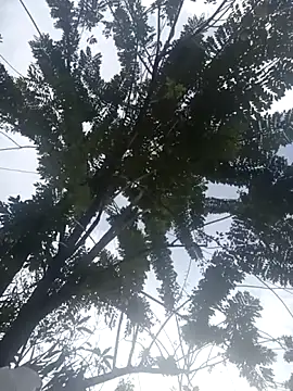 Camila-Valverde online show from 31, 1, 2026