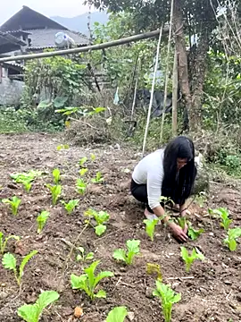 heodat-sexx online show from 20, 12, 2025