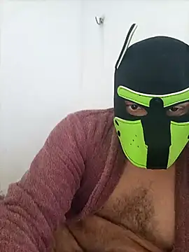 RobeBear online show from 26, 2, 2026