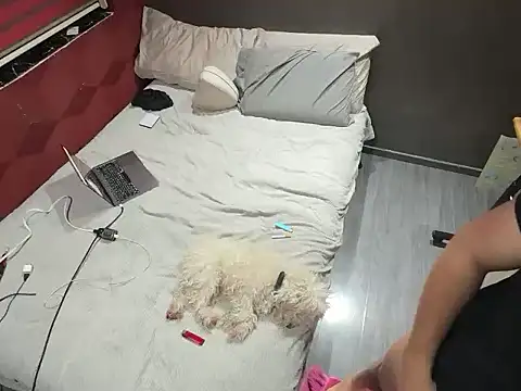 Bbydaddy 0 online show from 19, 1, 2026