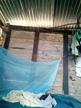 Soymaia online show from 24, 11, 2025