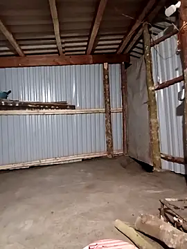 matbiec- online show from 3, 12, 2025