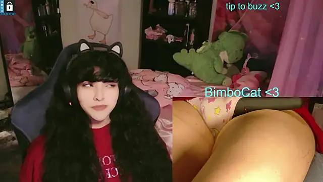 BimboCat online show from 13, 6, 2026