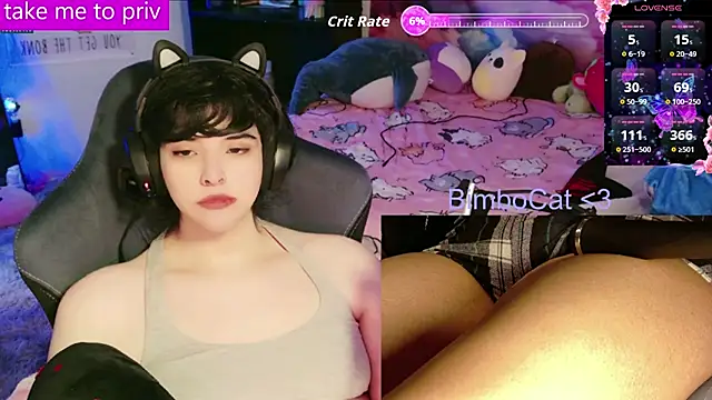 BimboCat online show from 3, 2, 2026