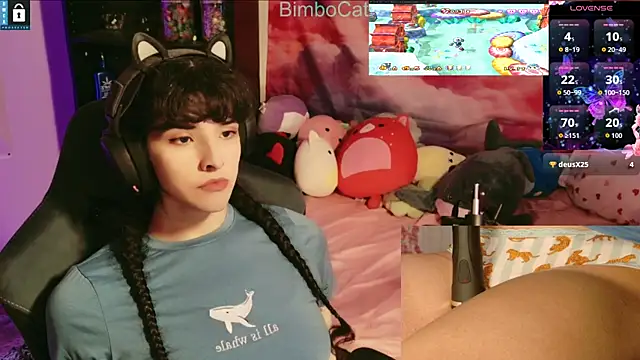 BimboCat online show from 20, 11, 2025