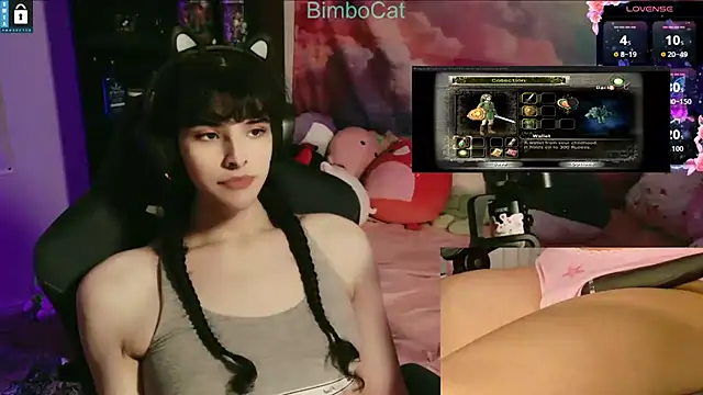 BimboCat online show from 22, 11, 2025