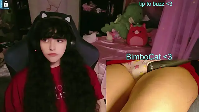 BimboCat online show from 11, 6, 2026