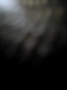 hotestanal online show from 16, 12, 2025