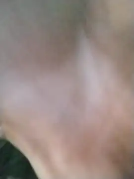 Bbc dunc214 online show from 29, 10, 2025