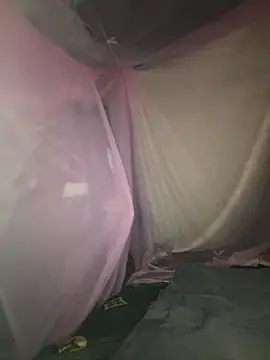 gino-sex online show from 28, 11, 2025