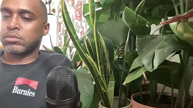 Snapshot of TraddyZaddy chatting on 7, 11, 2025 TraddyZaddy online show from 7, 11, 2025