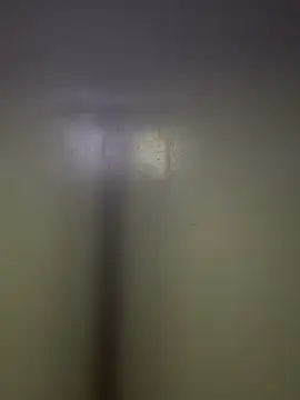 Scottyyxxl online show from 31, 1, 2026