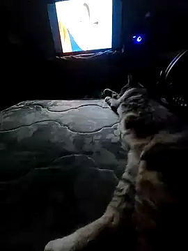 Snapshot of AntoniGM25 chatting on 31, 10, 2025 AntoniGM25 online show from 31, 10, 2025