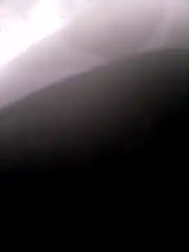 pino870 online show from 14, 1, 2026