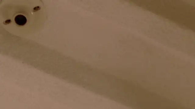 Zara Nova online show from 17, 12, 2025