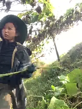 bi-bo123 online show from 12, 1, 2026