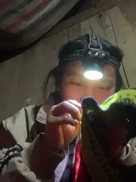 bi-bo123 online show from 6, 2, 2026