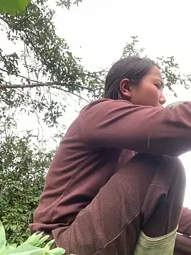 bi-bo123 online show from 24, 2, 2026