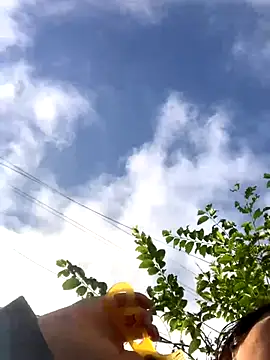 bi-bo123 online show from 23, 11, 2025