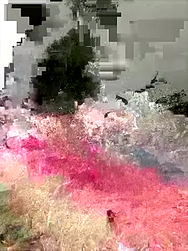 Snapshot of Ckinetor chatting on 20, 12, 2025 Ckinetor online show from 20, 12, 2025