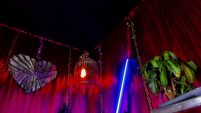 x heros x online show from 2, 11, 2025