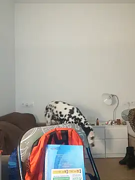 Dominantepollon89 online show from 28, 2, 2026