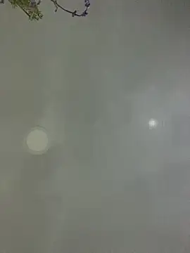 Samantha firee online show from 3, 3, 2026