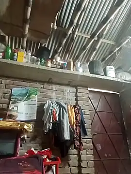 Lema-00 online show from 9, 11, 2025