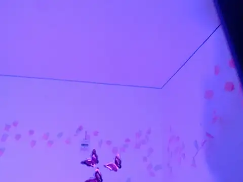 Samanta 777 online show from 26, 11, 2025