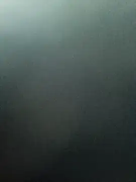 1anonimous online show from 9, 11, 2025