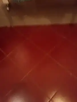 luilei90 online show from 23, 4, 2026