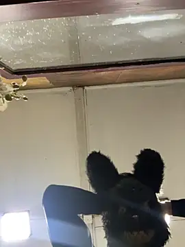 Elpichulotote20 online show from 6, 11, 2025