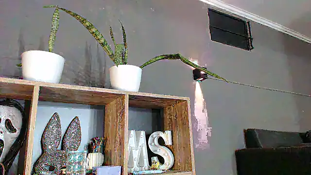 mickystrumia23 online show from 3, 2, 2026