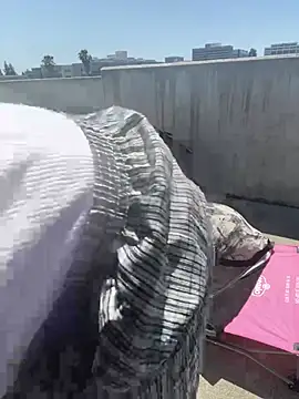 Dave 5518 online show from 20, 4, 2026