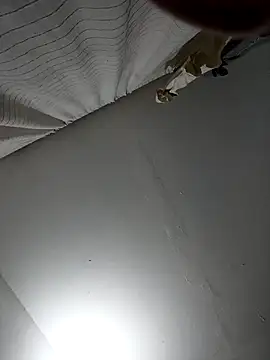 naughtygoddesss  online show from 8, 2, 2026