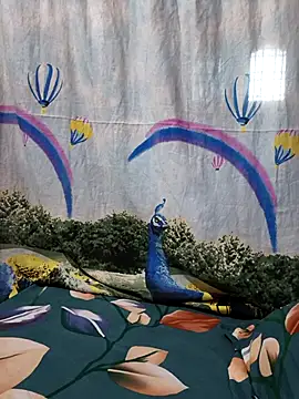 hyd couple7878 online show from 15, 12, 2025