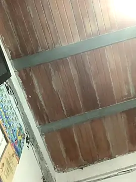 Megan2026 online show from 26, 11, 2025