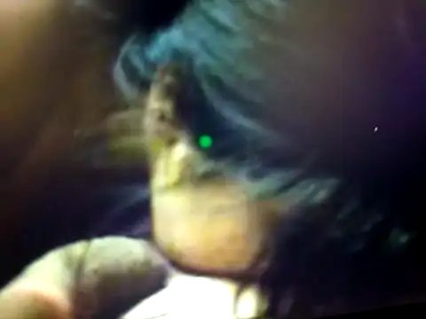BdTinyDick online show from 19, 3, 2026