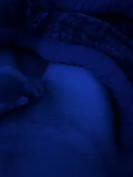 jafop098864 online show from 19, 12, 2025