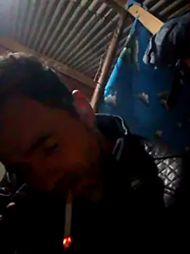 Arceusi online show from 3, 11, 2025