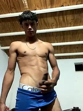 Snapshot of meliodas_23cm chatting on 26, 11, 2025 meliodas 23cm online show from 26, 11, 2025