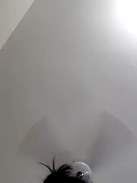 Sexy-Disha2011 online show from 4, 11, 2025